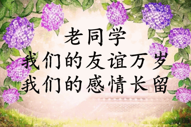 早上好表情包大全,我在秋风里道声:同学早安,请多珍重!