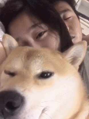 搞笑神段子gif:身边的二货朋友才是人生致爱