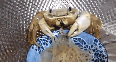 腾讯内容开放平台