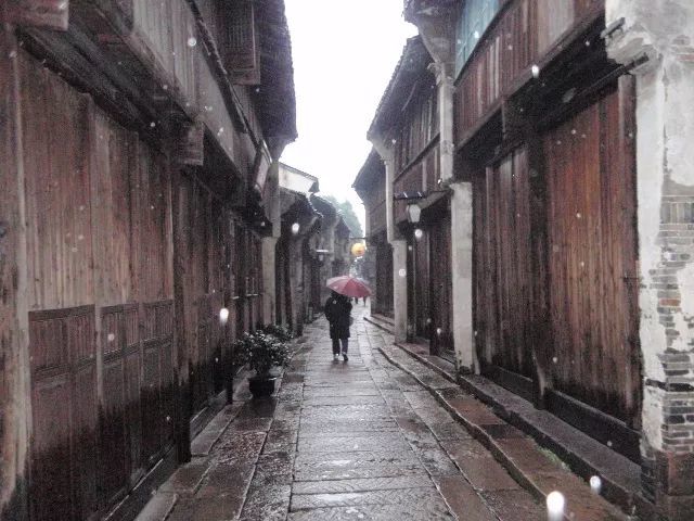 春天的雨里,和你撑伞走过青石白瓦的小巷