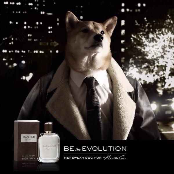 如今宠物在时尚圈混得比人好