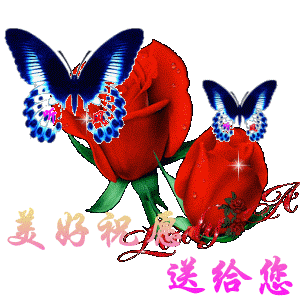 最真挚的祝福 送给最牵挂的你 愿你冬日安康,幸福快乐