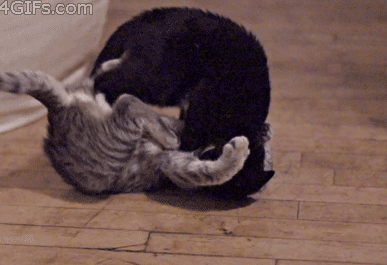 每日内涵段子:人民音乐家洛基,弹的曲子应该是《风雷引》