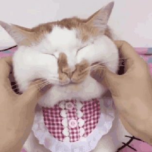 表情包 | 买买买,穷穷穷