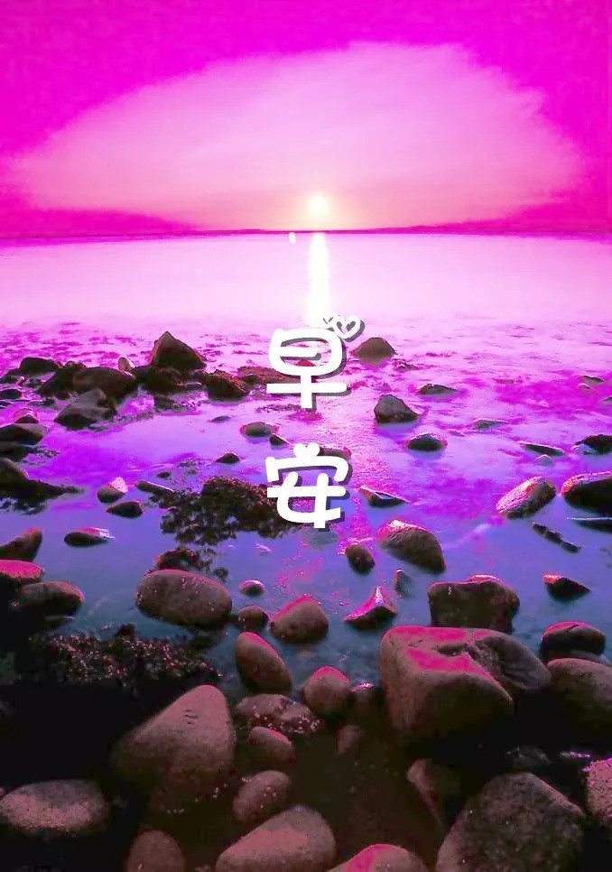 带字的早安问候语图片 经典早安鲜花祝福图片
