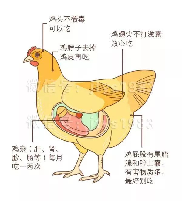 鸡,鱼,虾这些部位千万别吃,毒素和寄生虫超多!