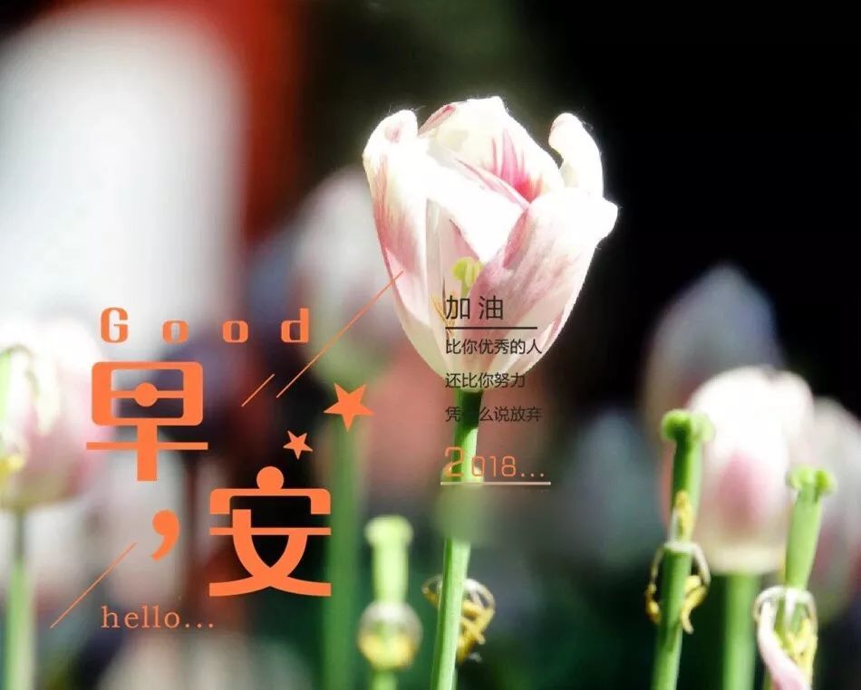 朋友圈最美早上好图片大全 早安问候正能量精选句子