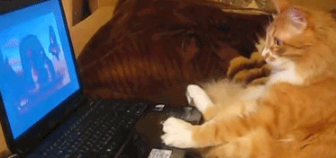 每日内涵段子:屌丝小明听说手机上装了某软件就能轻松约炮,可安装后