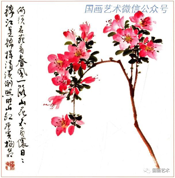 杜鹃花范画(二)步骤