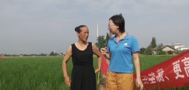 农村种马蹄,有了这个给力的助手,长势相当好,多