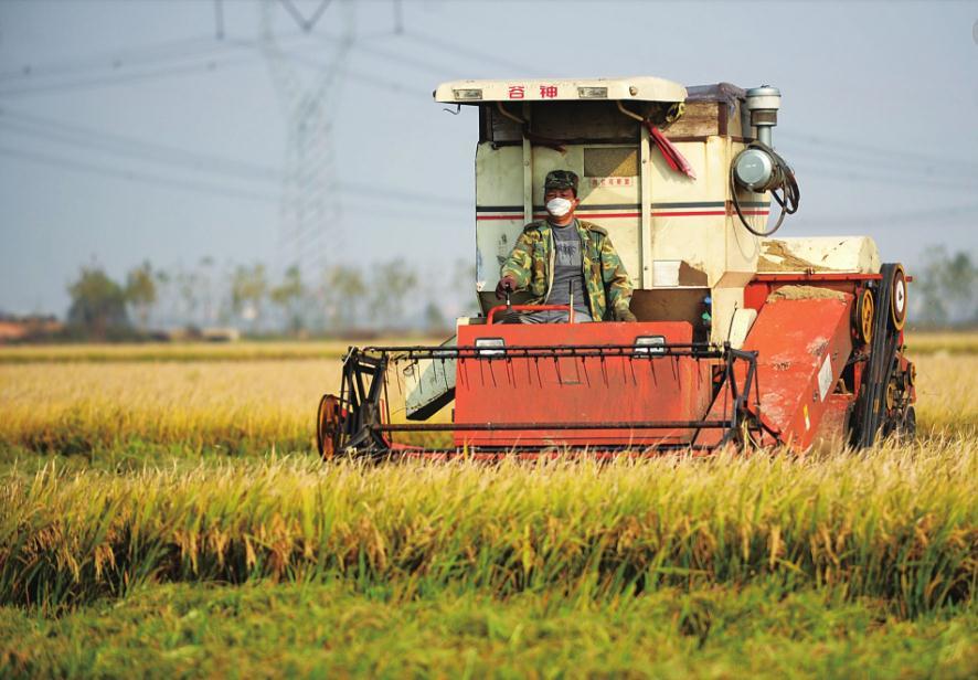 一斤粮食的价格还不如一瓶矿泉水,农民伤心的