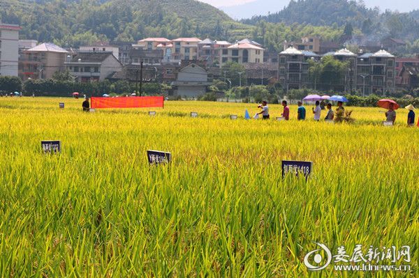 新化县维山乡四都村人口_寺山乡青瑶村(2)