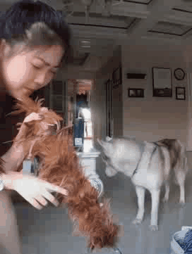 妹子,都说了不要穿齐臀小短裙出门,你这一弯腰,后边都