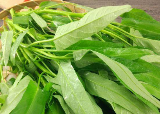 秋天用它做饺子馅最好,味道很惊艳,没吃过的一