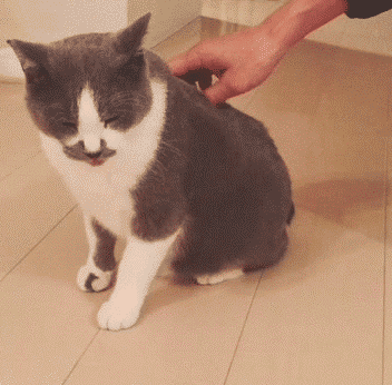 内涵段子gif:还带触控的!