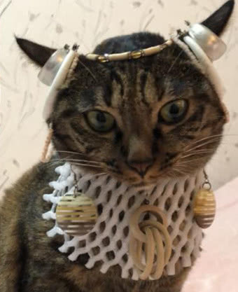 猫咪在床上伸懒腰突然抽筋,人类快点扶我起来