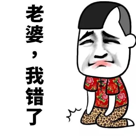 老婆大人,我错了