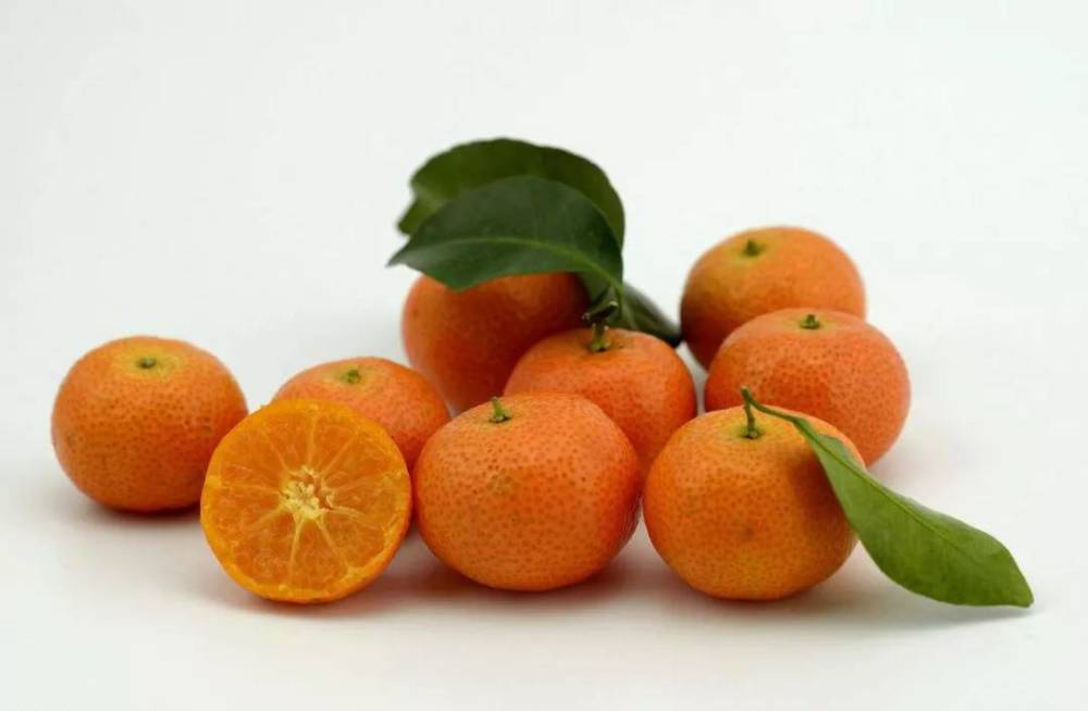 砂糖橘为什么怕果大?有什么方法控制吗?