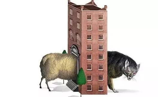 ¸Õ¸Õ£¬Õâ¸ö¹ú¼ÒµÄÂ¥ÊÐÒѳöÏÖÁ˿ֻÅ
