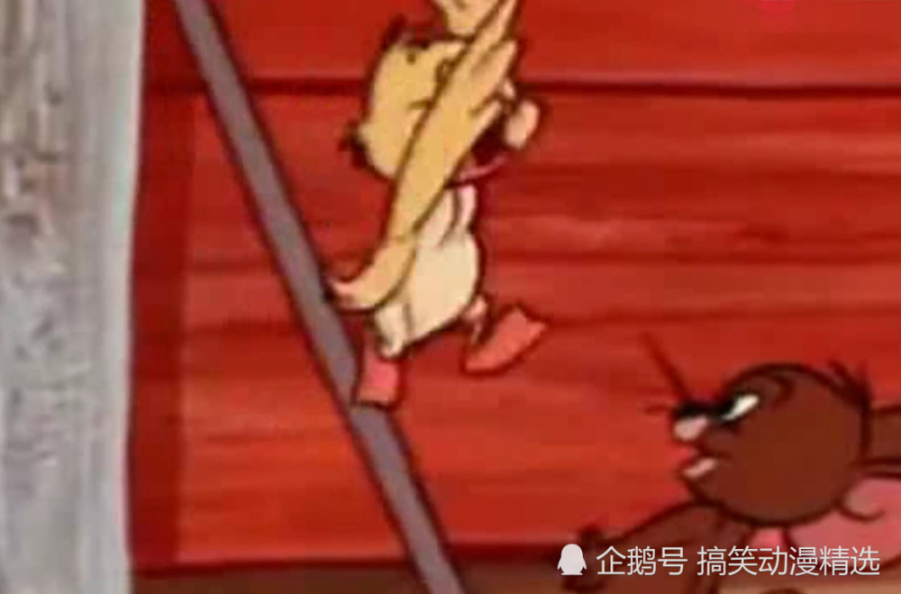 猫和老鼠最感人的一集,但换在现实中却是一幕令人心痛
