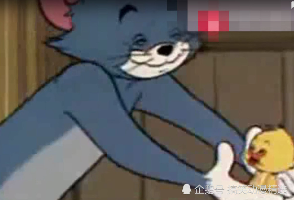 猫和老鼠最感人的一集,但换在现实中却是一幕令人心痛