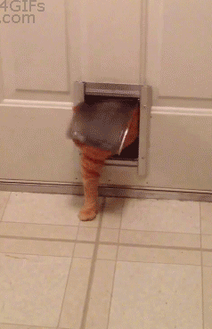 轻松一刻:小盆友从小就有事业心