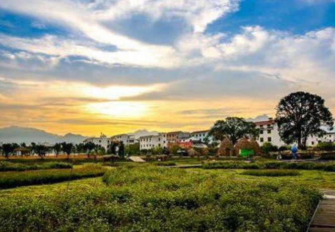 08到18年,耕地少了2.5亿亩!国家怒了:耕地占有