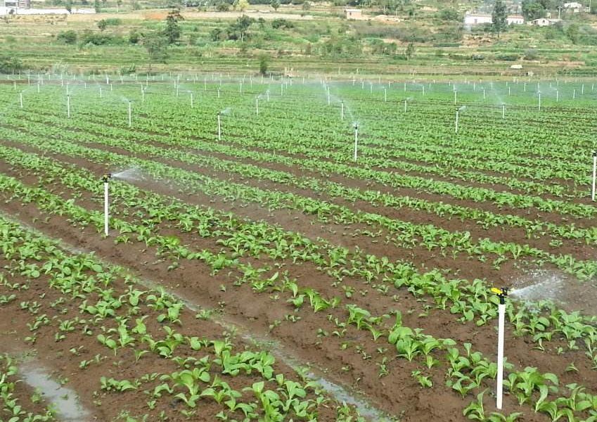 08到18年,耕地少了2.5亿亩!国家怒了:耕地占有