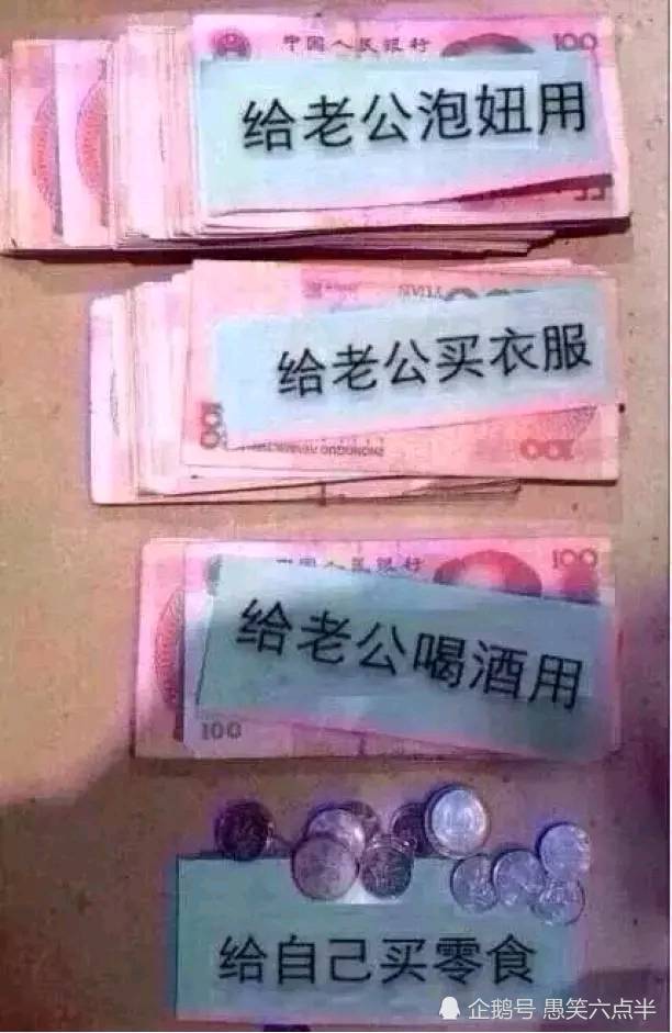 搞笑图片:老娘单身了二十几年,今天突然想找个人谈恋爱了!