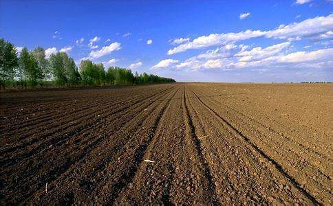 耕地占用税来了,快看看你家在不在收税范围内