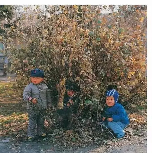 萍乡那些70,80年代的老照片,满满的回忆!好想回到童年