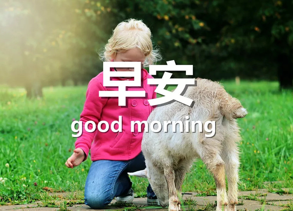 朋友圈早上好图片带字 早安心语短句说说心情