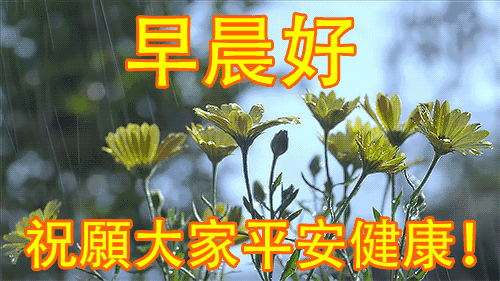 朋友圈早上问候语及关心话 早上问候语温馨版
