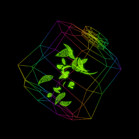太空,曲线,粒子,一大波引起舒适的催眠gif图