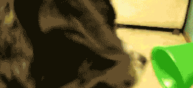 每日内涵段子:为了班级荣誉,班主任算是豁出去了!