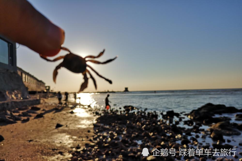 去东戴河旅行,海边石头缝里捉螃蟹,孩子们玩嗨了