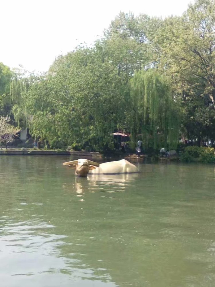 杭州西湖出水金牛