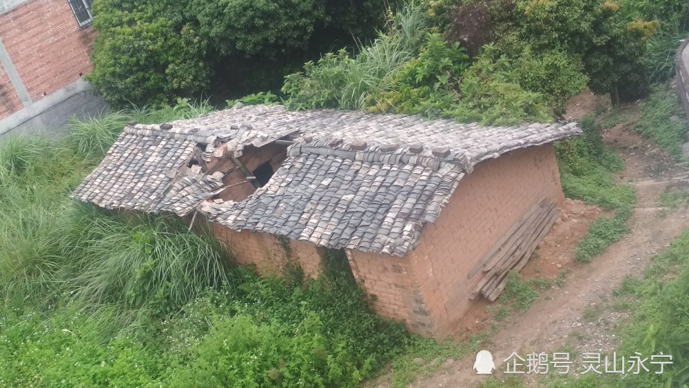 农村的泥砖瓦房不住人了,经过多年的风吹日晒还能维持