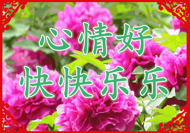 早上好,一声问候,幸福安康!