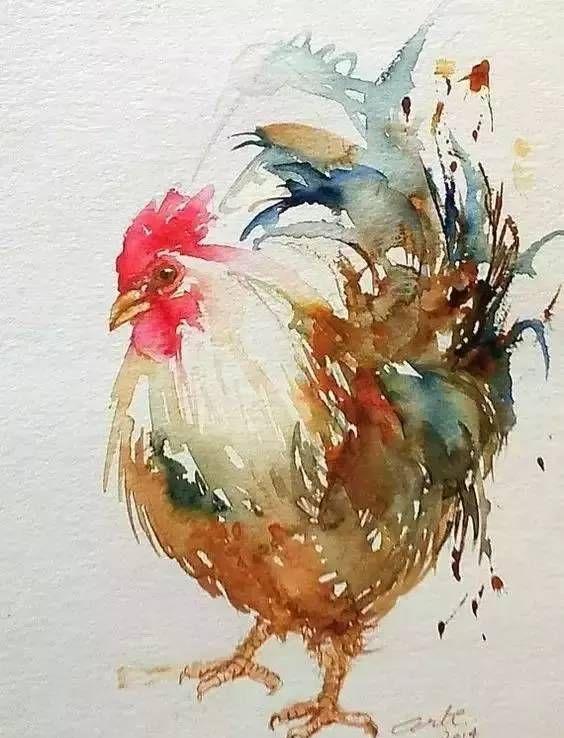 鸡的水彩画欣赏
