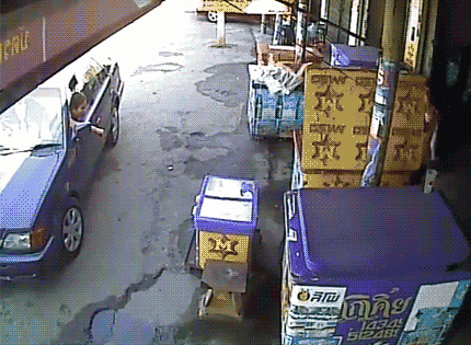 每日有趣gif图#吃了狗狗外形的蛋糕后,家里的狗子吓坏了