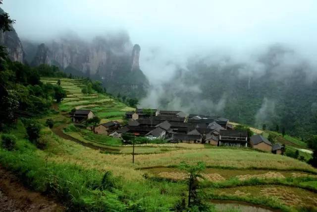 赏梯田,何必远去云南哈尼,广西龙脊,浙江仙居公盂梯田就已经美得让你