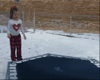 每日有趣gif图#吃了狗狗外形的蛋糕后,家里的狗子吓坏了