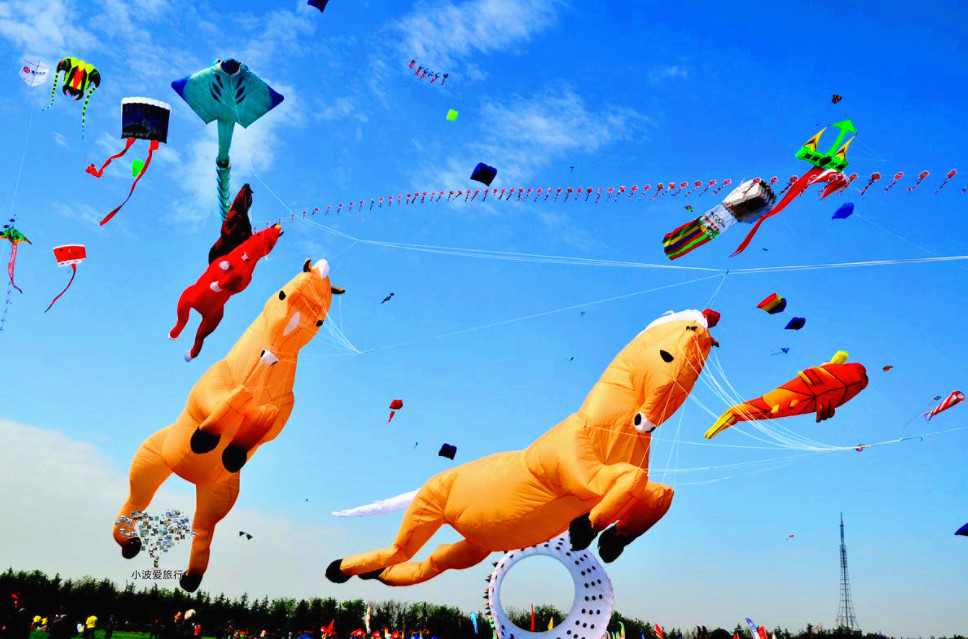 30多个国家和地区参赛的,山东潍坊风筝节,把梦想放飞蓝天!