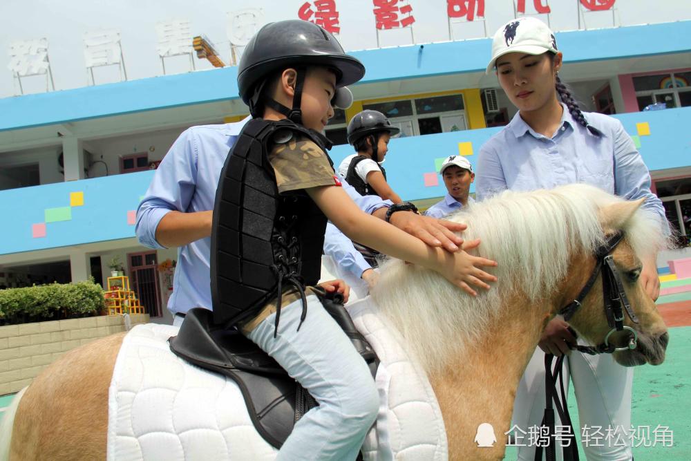 小朋友们轻轻地抚摸着马儿,亲身感受到与动物之间纯真的交流.