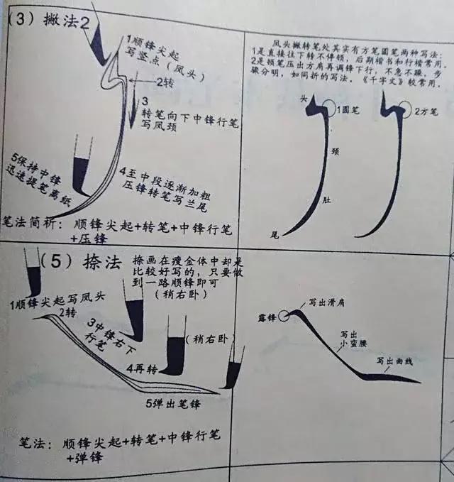 瘦金体基本笔画的要点都在这里,请看过来!