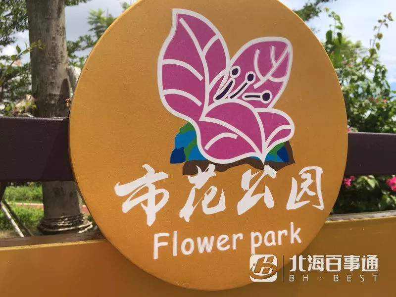 红极一时的北海市花公园,现在怎样了?