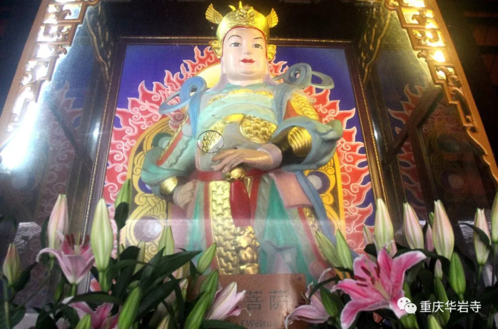 天天快报