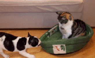 表情包解锁心理技能——侵犯行为