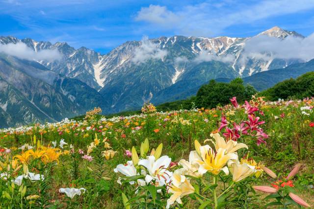 2018年日本旅游新去处 刚刚开幕的白马山大殿三段红叶 看点快报